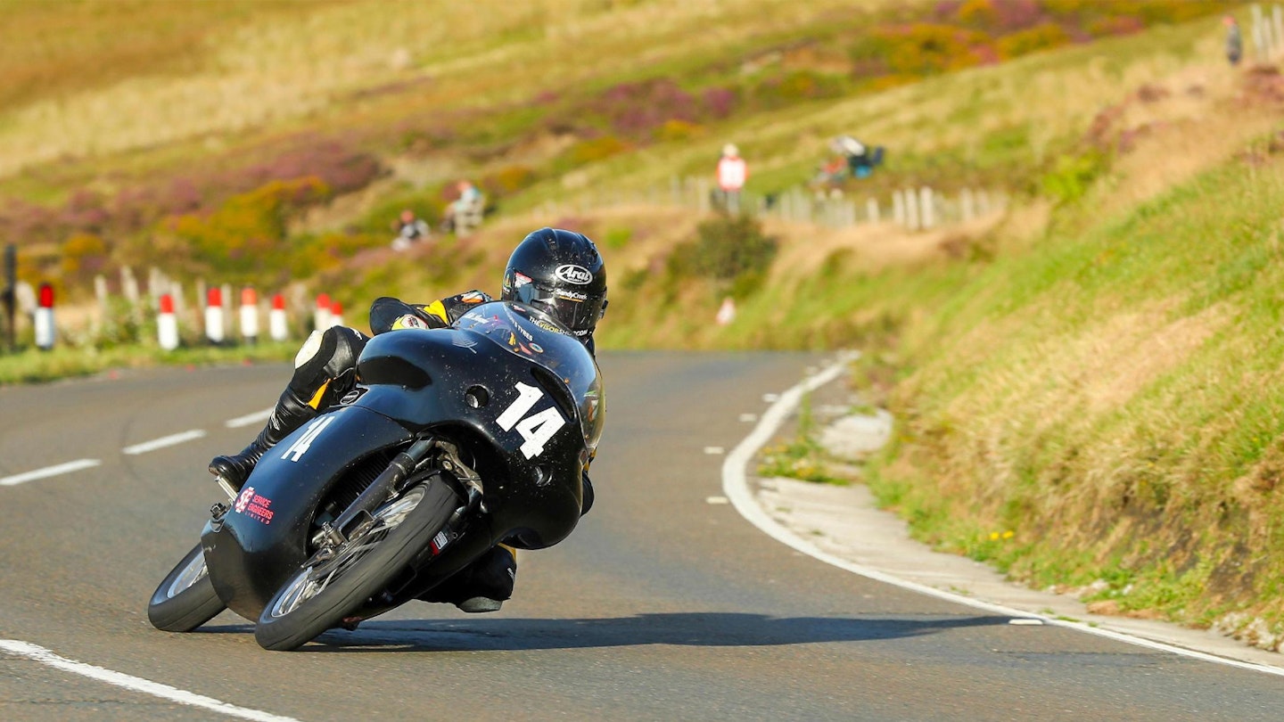 A match for a manx